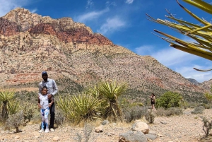 Las Vegas: wycieczka do Doliny Ognia i kanionu Red Rock