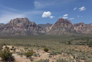 Las Vegas: wycieczka do Doliny Ognia i kanionu Red Rock