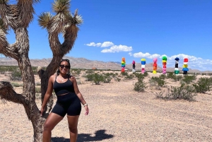 Las Vegas: Valley of Fire and Seven Magic Mountains Day Trip