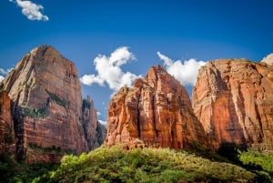 Las Vegas : Vallée de feu et parc national de Zion, visite à la journée