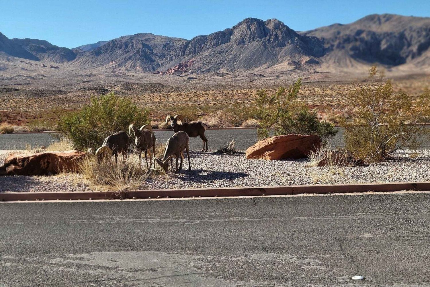 Las Vegas: Excursión guiada de un día al Valle del Fuego