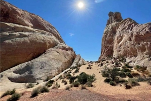 Las Vegas: Valley of Fire Tour guiado en español