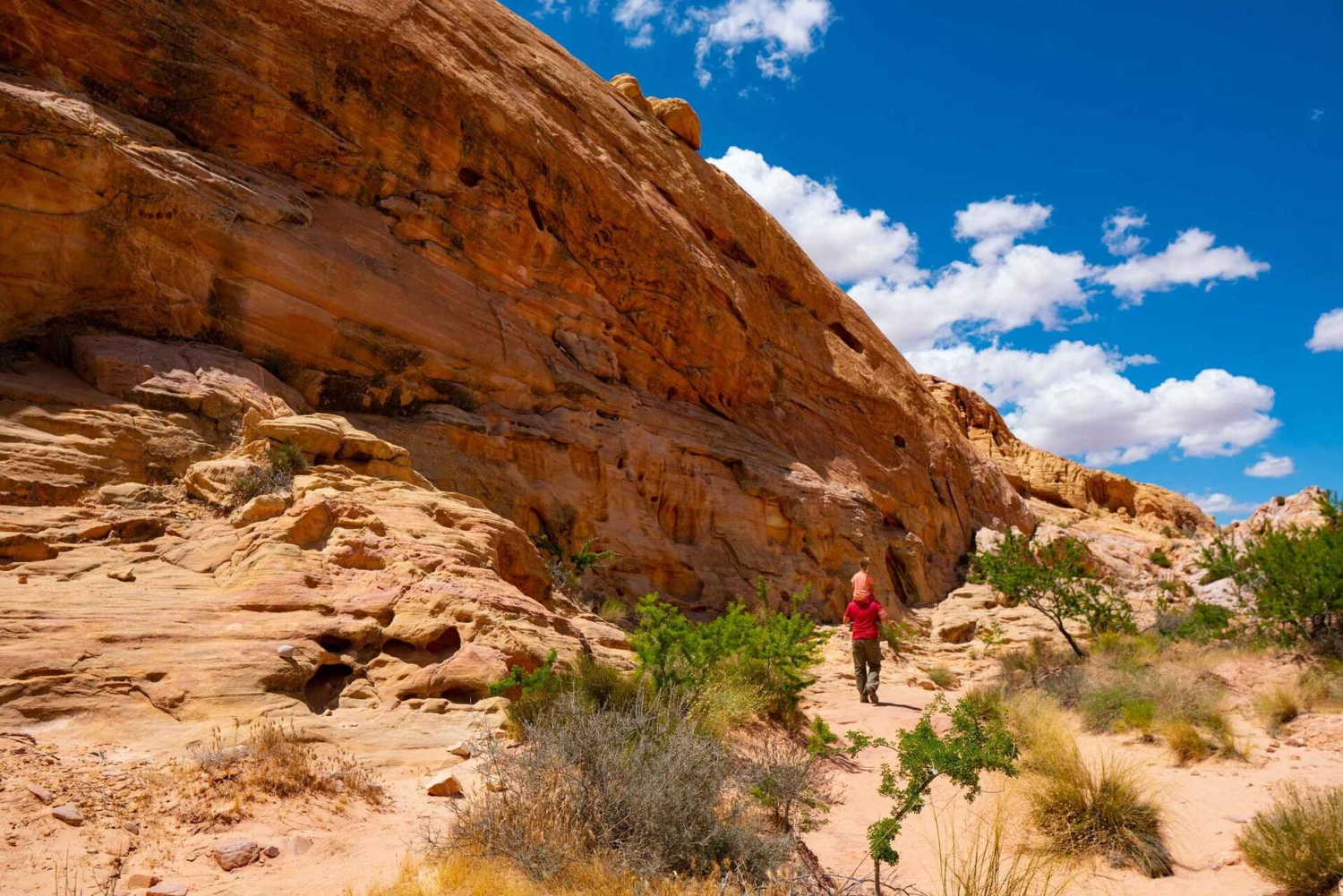 Las Vegas: Valley of Fire Halvdags guidet fottur med henting