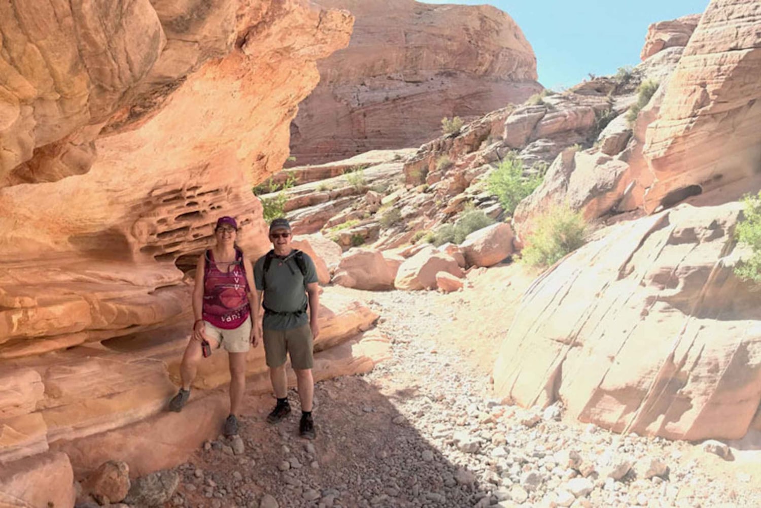 Las Vegas: Valley of Fire Halvdags guidet fottur med henting