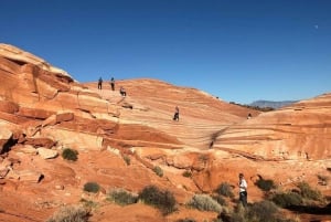 Las Vegas: Valley of Fire Half-Day Guided Hike with Pickup