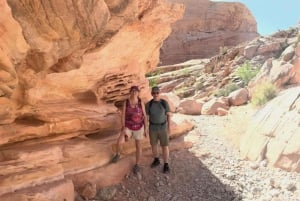 Las Vegas: Valley of Fire Half-Day Guided Hike with Pickup