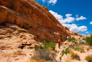 Las Vegas: Valley of Fire Halvdags guidet fottur med henting