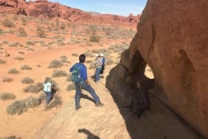 Las Vegas: Valley of Fire Halvdags guidet fottur med henting