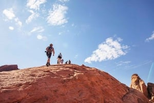 Las Vegas: Valley of Fire Halvdags guidet fottur med henting