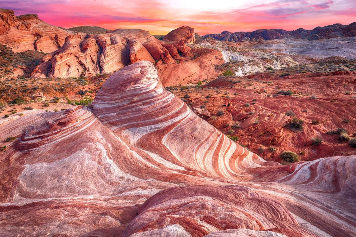 Las Vegas: Guidet tur i Valley of Fire State Park