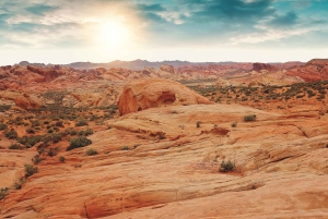 Las Vegas: Valley of Fire State Park guidet tur