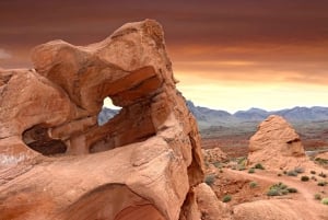 Las Vegas: Valley of Fire State Park guidet tur