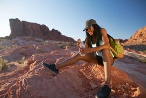 Las Vegas: Valley of Fire State Park guidet tur