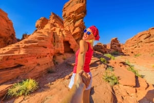 Las Vegas: Valley of Fire State Park guidet tur