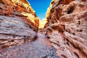 Las Vegas: Valley of Fire State Park guidet tur