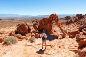 Las Vegas: Guidet tur i Valley of Fire State Park