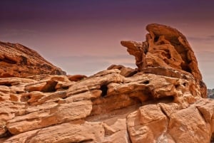 Las Vegas: Guidet tur i Valley of Fire State Park