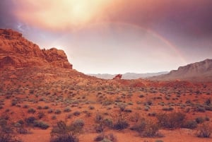 Las Vegas: Guidet tur i Valley of Fire State Park