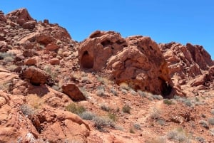 Las Vegas: Valley Of Fire State Park Tour