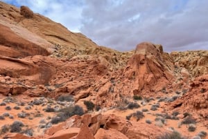 Las Vegas: Valley Of Fire State Park Tour