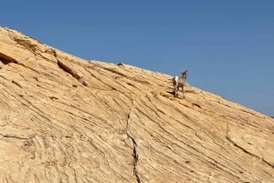 Las Vegas: Valley Of Fire State Park Tour