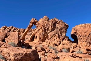Las Vegas: Valley Of Fire State Park Tour
