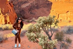 Las Vegas: Valley of Fire Sunset Tour with Hotel Transfers