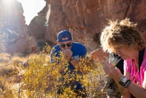 Las Vegas: Valley of Fire Sunset Tour with Hotel Transfers