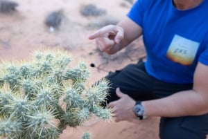 Las Vegas: Valley of Fire Sunset Tour with Hotel Transfers