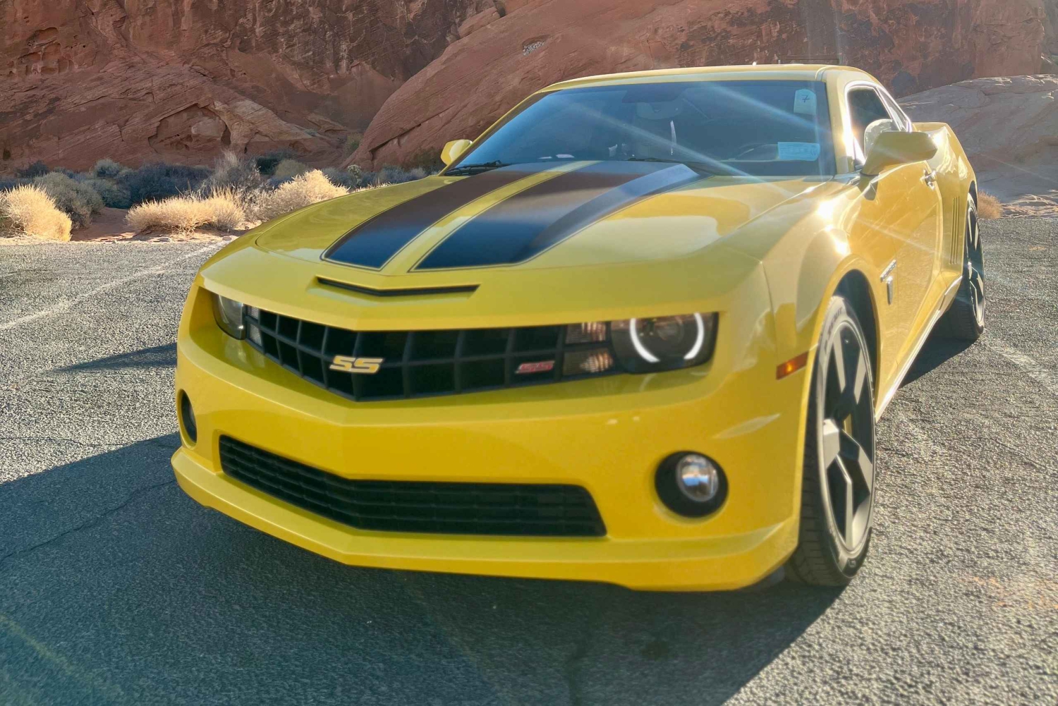 Las Vegasissa: Bumblebeen kanssa.