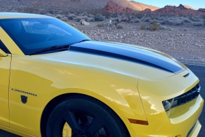 Las Vegasissa: Bumblebeen kanssa.