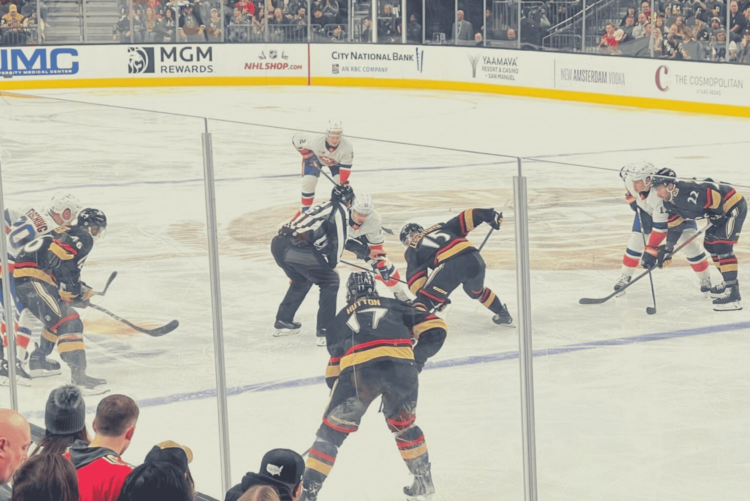 Las Vegas : Billet pour un match de hockey sur glace des Vegas Golden Knights