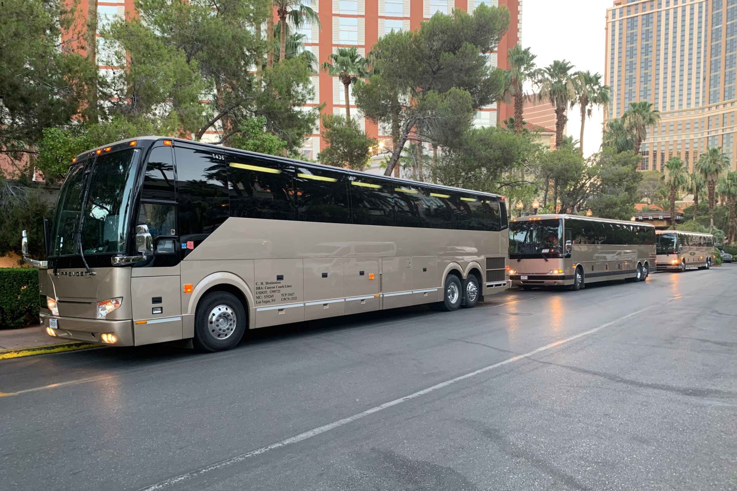 Las Vegas/Williams/Tusayan/Grand Canyon: Navetta di sola andata