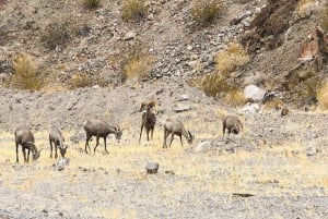 Las Vegas/Willow Beach: tour guidato in kayak alla Emerald Cave