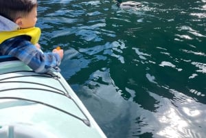 Las Vegas/Willow Beach: tour guidato in kayak alla Emerald Cave