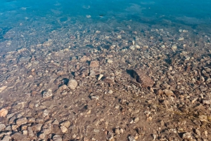 Las Vegas/Willow Beach: tour guidato in kayak alla Emerald Cave