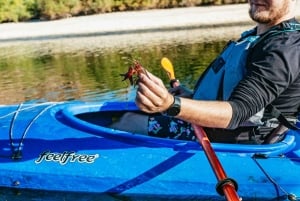 Las Vegas/Willow Beach: Guidet kajaktur til Emerald Cave