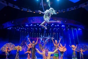 Las Vegas: WOW – The Vegas Spectacular im Rio Hotel & Casino