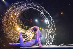 Las Vegas: WOW – The Vegas Spectacular im Rio Hotel & Casino