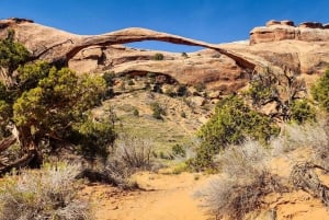 Las Vegas : Camping de 3 jours à Zion, Bryce et Monument Valley