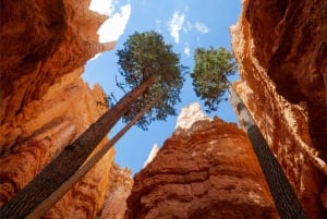 Las Vegas Zion Bryce Monument Valley Gran Cañón Campamento de 3 días