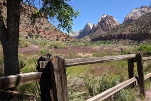 Las Vegas Zion Bryce Monument Valley Gran Cañón Campamento de 3 días