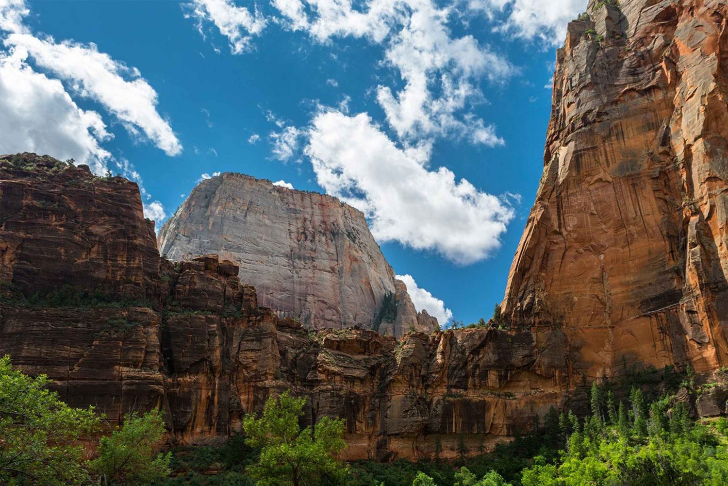 Las Vegas: Visita guiada al Parque Nacional de Zion con almuerzo