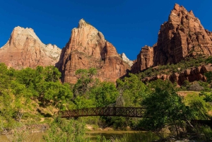 Las Vegas: Visita guiada al Parque Nacional de Zion con almuerzo