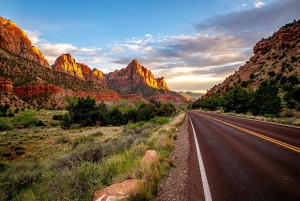 Las Vegas: Visita guiada al Parque Nacional de Zion con almuerzo