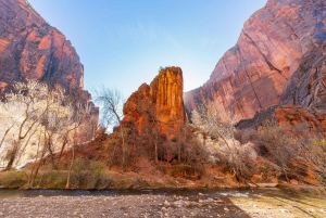 Las Vegas: Visita guiada al Parque Nacional de Zion con almuerzo