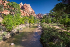 Las Vegas: Visita guiada al Parque Nacional de Zion con almuerzo