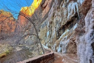 Las Vegas: Zion National Park Small Group Tour with Lunch