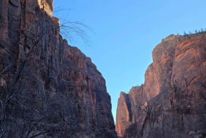 Las Vegas: Zion National Park Small Group Tour with Lunch