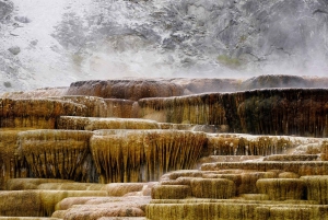 Los Angeles: 10-dagers rundtur i Yellowstone nasjonalpark